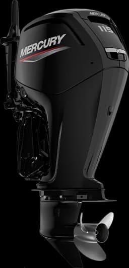 FourStroke 115 HP image 24
