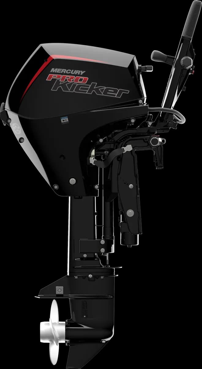 Mercury FourStroke 15 HP