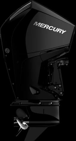 FourStroke 175 HP görsel 5