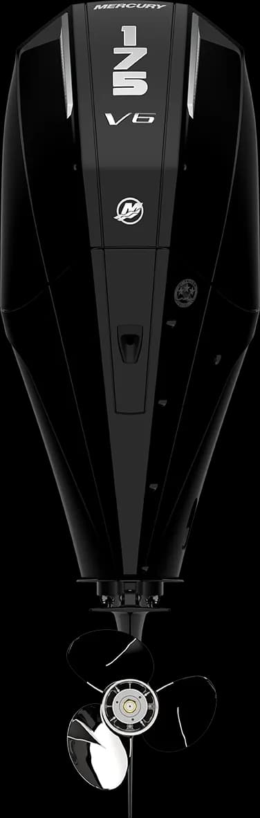 Mercury FourStroke 175 HP