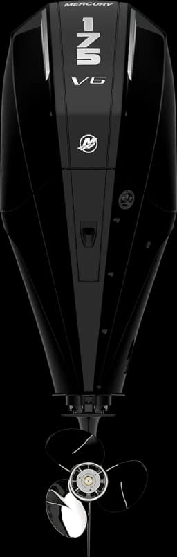 FourStroke 175 HP görsel 8