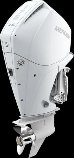 FourStroke 175 HP görsel 2