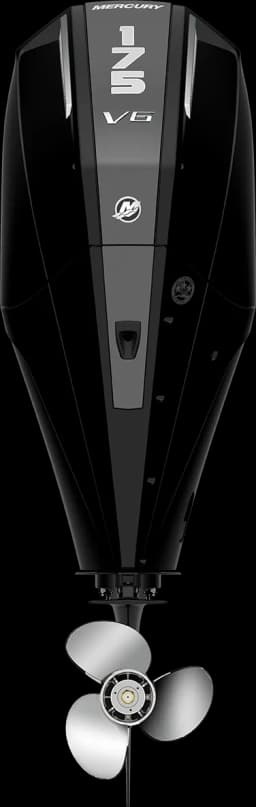FourStroke 175 HP görsel 20