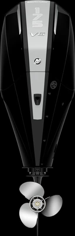 FourStroke 175 HP görsel 23