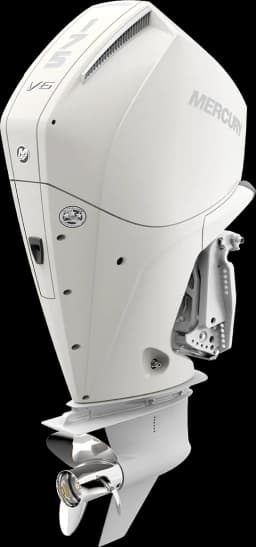 FourStroke 175 HP görsel 5