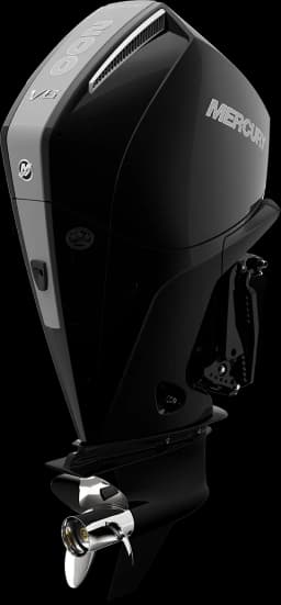 FourStroke 200 HP image 20