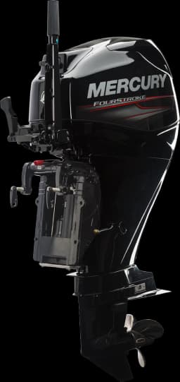 FourStroke 40 HP görsel 1