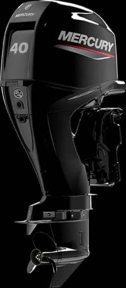 FourStroke 40 HP image 28
