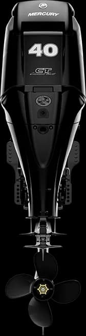 FourStroke 40 HP image 29