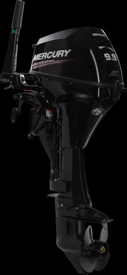 FourStroke 9.9 HP görsel 2