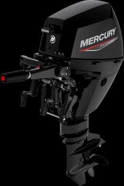 FourStroke 9.9 HP image 19