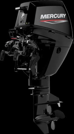 FourStroke 9.9 HP image 21