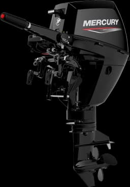 FourStroke 9.9 HP image 22
