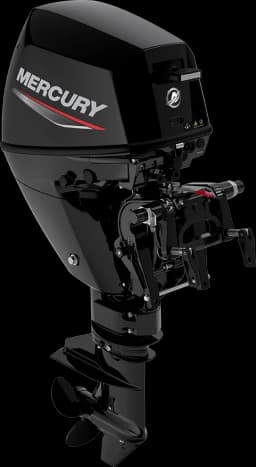FourStroke 9.9 HP image 24