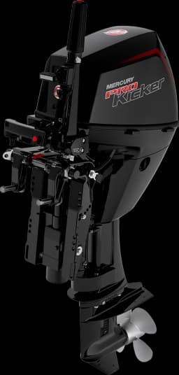 FourStroke 9.9 HP image 33