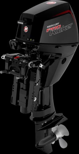FourStroke 9.9 HP image 34