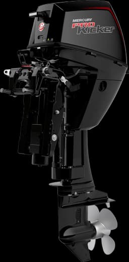 FourStroke 9.9 HP image 37