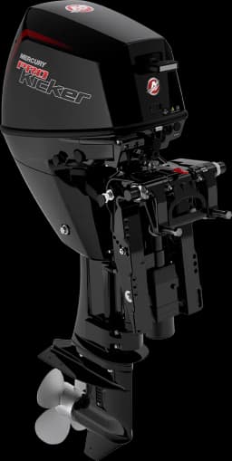 FourStroke 9.9 HP image 40