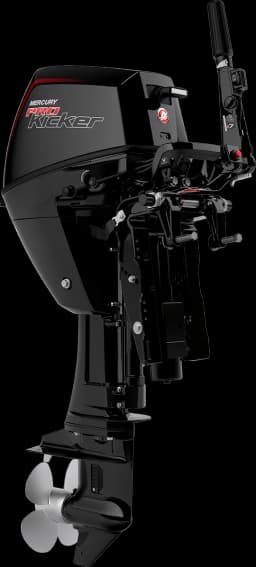 FourStroke 9.9 HP image 42