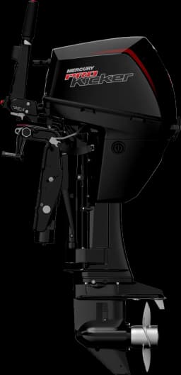 FourStroke 9.9 HP image 47