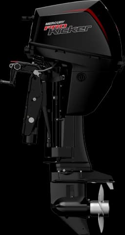 FourStroke 9.9 HP image 48