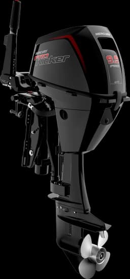 FourStroke 9.9 HP image 49