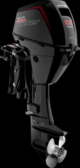FourStroke 9.9 HP image 50