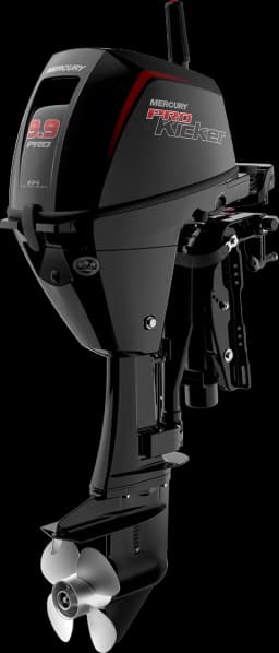 FourStroke 9.9 HP image 51