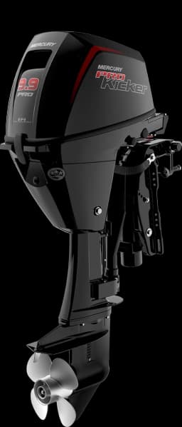 FourStroke 9.9 HP image 52