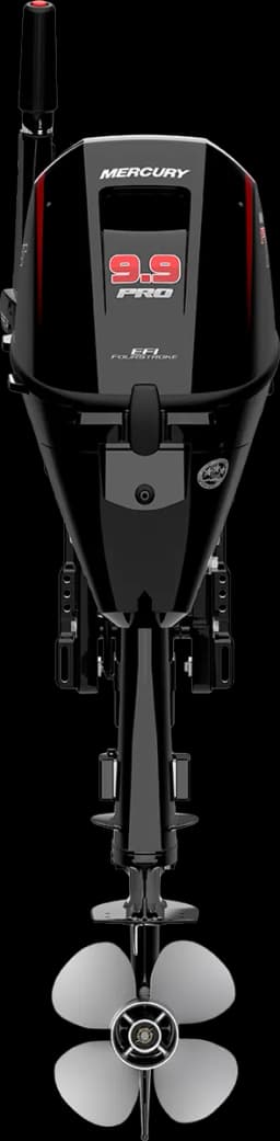 FourStroke 9.9 HP image 53