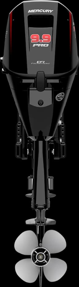 FourStroke 9.9 HP image 54