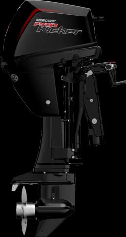 FourStroke 9.9 HP image 57