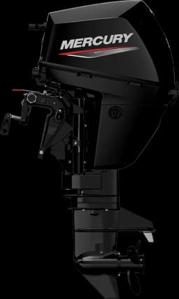 FourStroke 9.9 HP image 58
