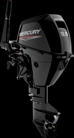 FourStroke 9.9 HP image 62