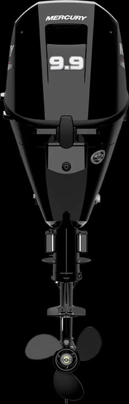 FourStroke 9.9 HP image 65