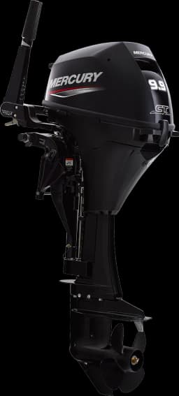 FourStroke 9.9 HP image 70