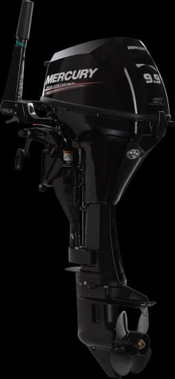 FourStroke 9.9 HP image 75