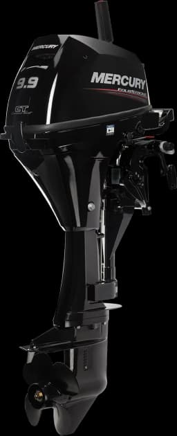 FourStroke 9.9 HP image 76