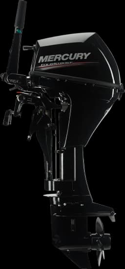 FourStroke 9.9 HP image 77