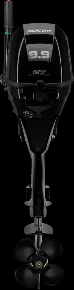 FourStroke 9.9 HP image 78