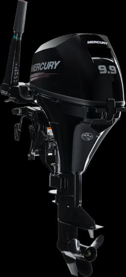 FourStroke 9.9 HP image 83