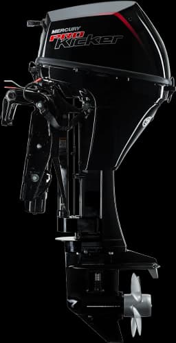 FourStroke 9.9 HP image 87