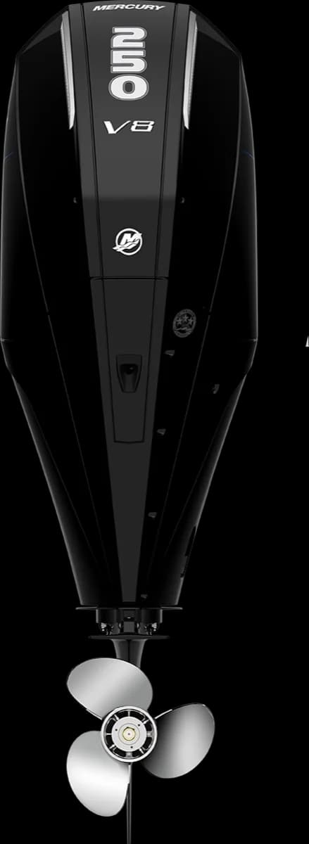 Mercury SeaPro 250 HP