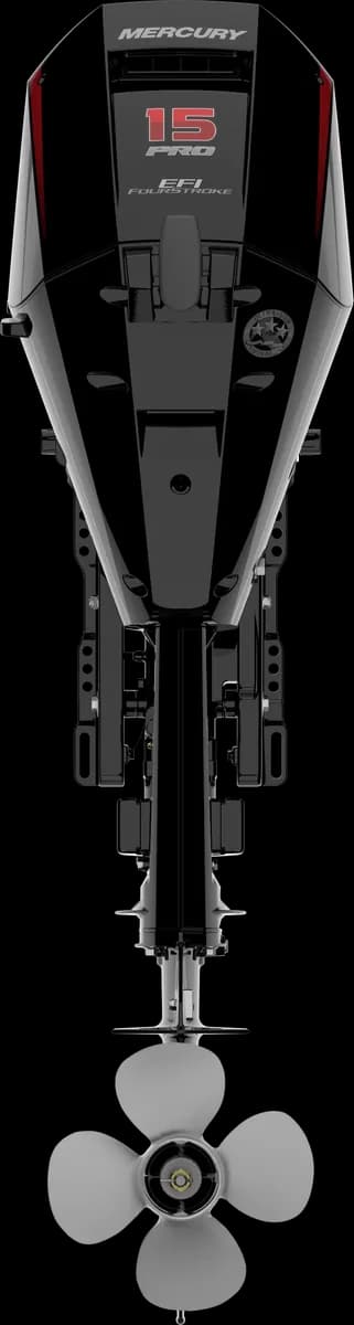 Mercury FourStroke 15 HP