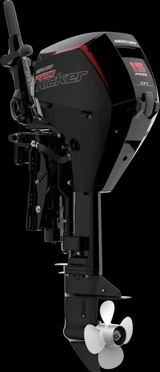 Mercury FourStroke 15 HP
