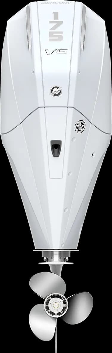 Mercury FourStroke 175 HP
