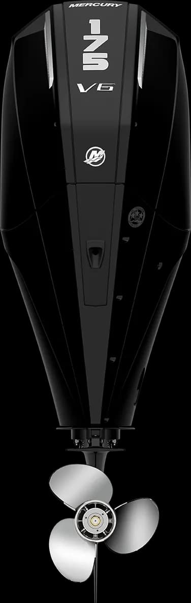 Mercury FourStroke 175 HP