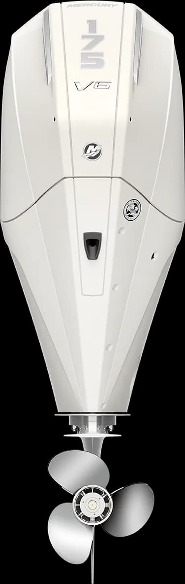 Mercury FourStroke 175 HP