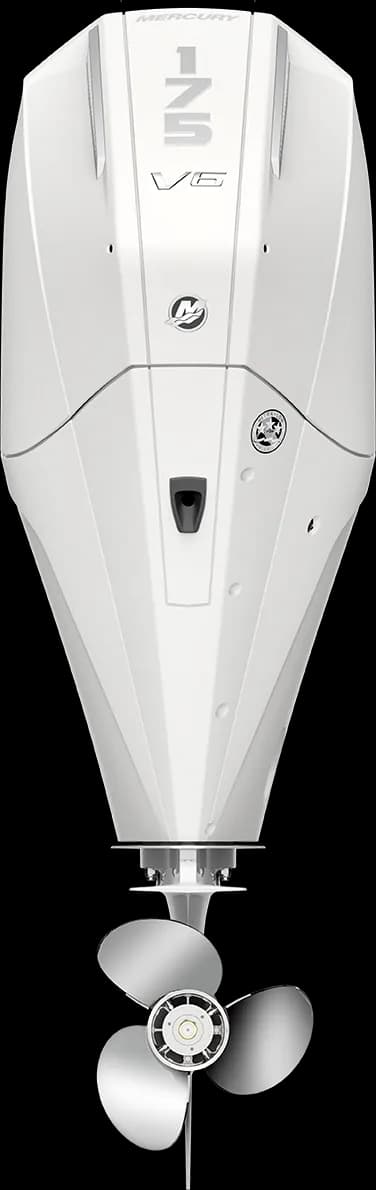 Mercury FourStroke 175 HP