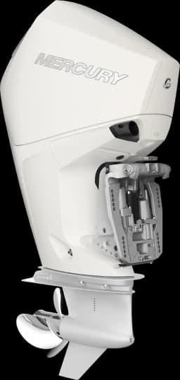 FourStroke 200 HP image 10